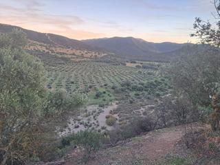 Masia a Mestanza. Finca de caza en venta en ciudad real.