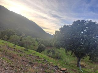 Masia a Villar del Pozo. Finca de caza en venta en ciudad real.