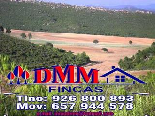 Finca rústica a Fuente el Fresno. Finca rúst. en venta en fuente el fresno.