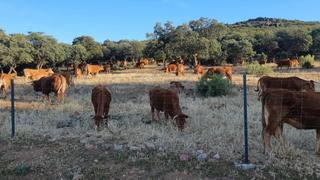 Masia a Área Rual - Valverde - Las Casas. Finca rúst. en venta en ciudad real.