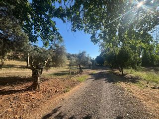 Casale in Área Rual - Valverde - Las Casas. Finca rúst. en venta en ciudad real.