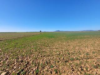 Masía en Malagón. Finca en venta en malagon.