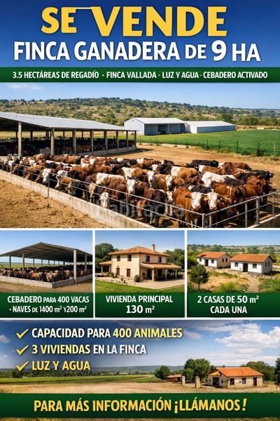 Foto 7486f7f2-ea36-43af-9dca-3b9951d742bd. Masia a Miguelturra