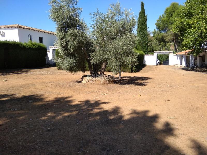 Foto 0ca20ee6-5510-48ed-b92f-3bf59cd8b0ea. Mas dans Ciudad Jardín Ciudad Real