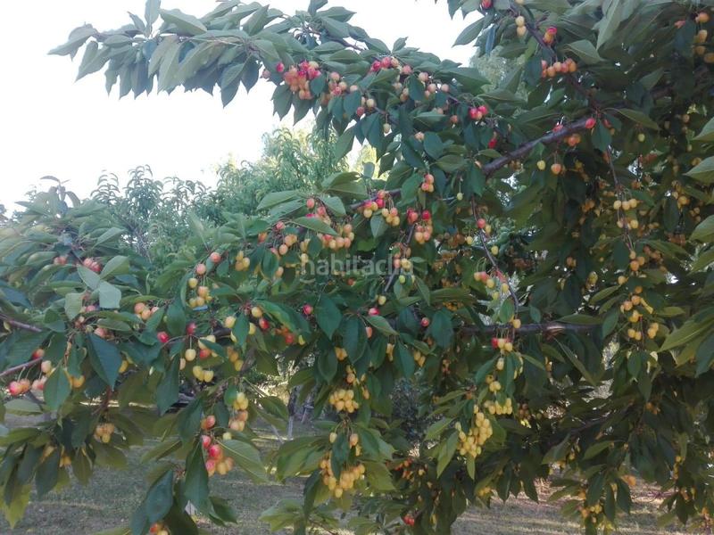 Foto 2fa61ea2-880a-4019-8366-0ac95d258b11. Chalet in El Perchel Ciudad Real