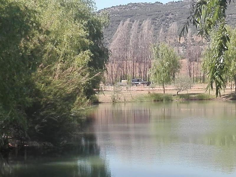 Foto 3f6fe6fe-30bb-42c8-baf0-86f9aa2665cd. Chalet in El Perchel Ciudad Real