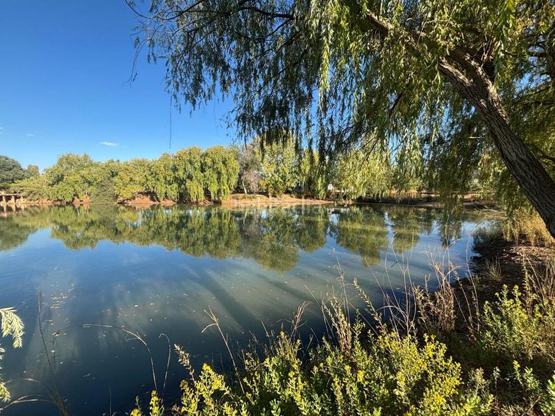 Foto 98aef15e-ab06-4ad0-95c4-b7cc805ff373. Chalet in El Perchel Ciudad Real