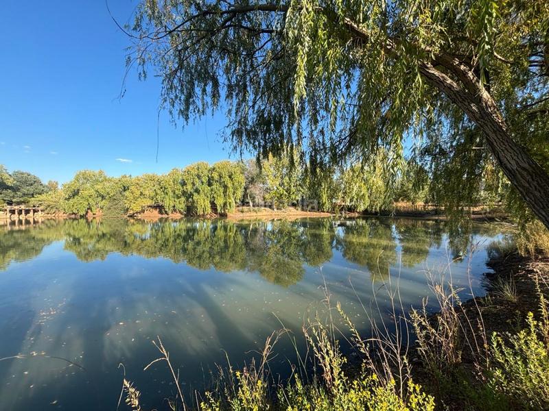 Foto a0daf55e-f7d4-4b90-93df-7a224a292477. Chalet in El Perchel Ciudad Real