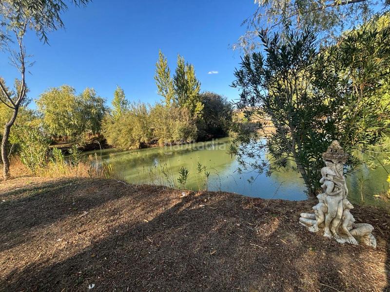 Foto a31444cc-e13e-4d45-adae-82a50a0b897c. Chalet in El Perchel Ciudad Real