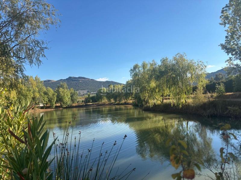 Foto b41d27a6-58a6-45b4-9c10-7a8d1f127ee9. Chalet in El Perchel Ciudad Real