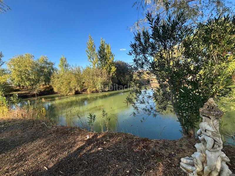 Foto d6e4415f-2f6b-4203-88e1-78969a278c9c. Chalet in El Perchel Ciudad Real