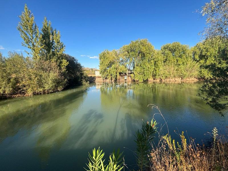 Foto f963c5ad-5ebf-43b8-aa73-0ec6dc349722. Chalet in El Perchel Ciudad Real