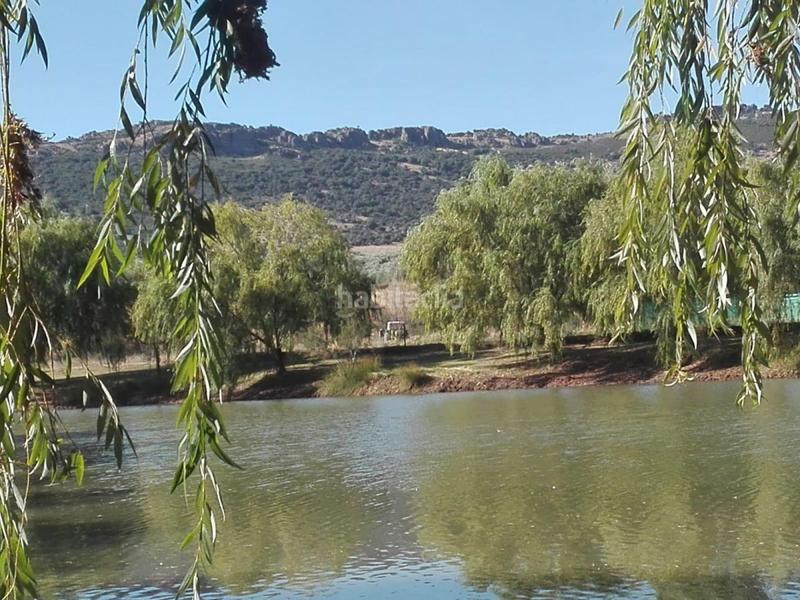 Foto fd47ce39-de87-4e1f-9a6b-905987fbebeb. Chalet in El Perchel Ciudad Real