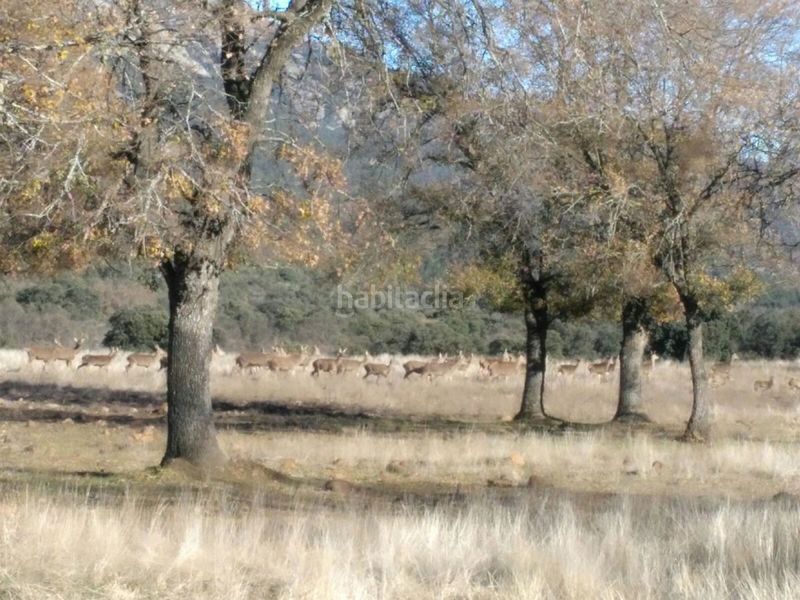 Foto 02d82146-e152-41cb-8842-910fd8c910f0. Masia a Área Rual - Valverde - Las Casas Ciudad Real