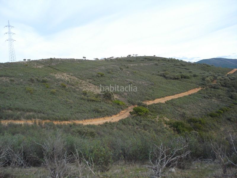 Foto 4ef0c095-4533-4234-befc-4f603bab8f03. Masia a Área Rual - Valverde - Las Casas Ciudad Real