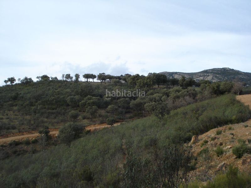 Foto 5b3b0bde-c7b9-4c5d-bfa9-dd2128ba7281. Masia a Área Rual - Valverde - Las Casas Ciudad Real