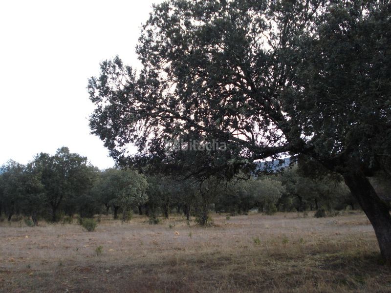 Foto 7542e2ae-5a58-402b-976c-4b12584d7829. Masia a Área Rual - Valverde - Las Casas Ciudad Real