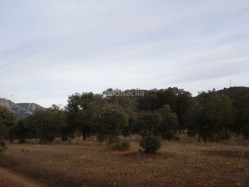 Foto 912d63c8-aa3d-4dd1-b687-5078d6e9cf2b. Masia a Área Rual - Valverde - Las Casas Ciudad Real