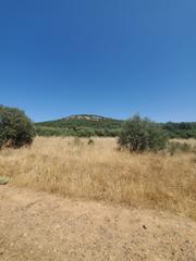 Masia a Área Rual - Valverde - Las Casas. Finca rúst. en venta en ciudad real.