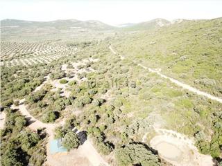 Mas à Mazarambroz. Finca rúst. en venta en ciudad real.
