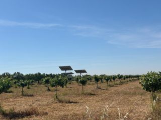 Country house in Malagón. Finca rúst. en venta en ciudad real.