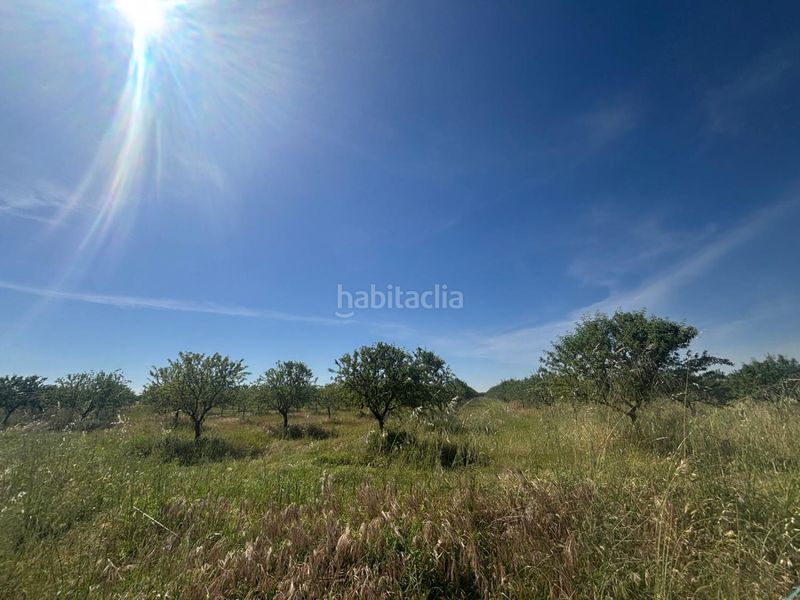 Foto 4043aa37-9b9a-427b-9806-1b713ef99699. Masia a Malagón