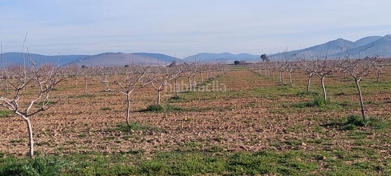 Foto 48aebdea-6804-46e6-9a78-bc9bc1090833. Masia a Malagón