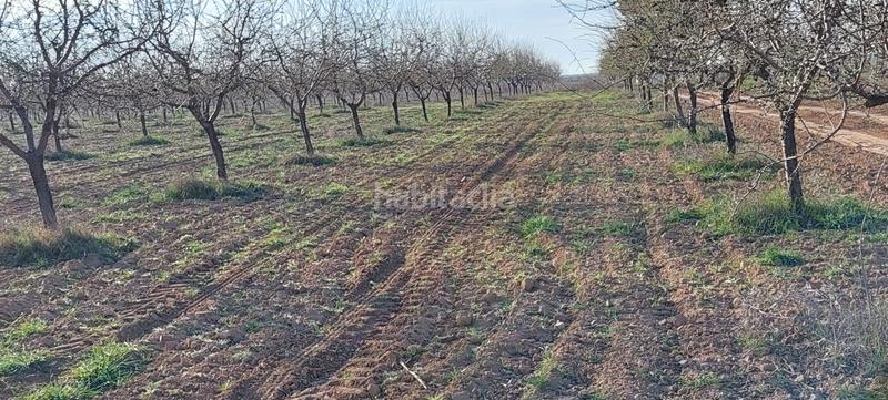 Foto 51006452-8c24-4c0e-a9d3-4adad7e4a9c9. Masia a Malagón