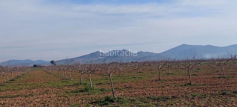 Foto 5d23b4f9-1e4e-45db-81ca-f697e32e80ba. Masia a Malagón