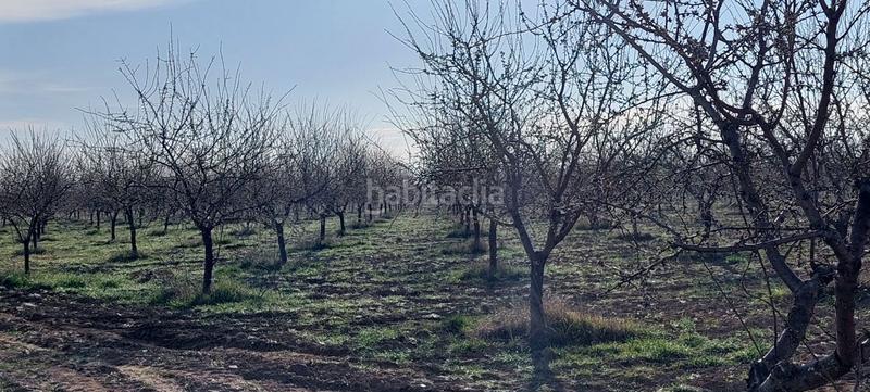 Foto 6403c158-ddb3-4a54-8ffb-7b198d2f3ca6. Masia a Malagón
