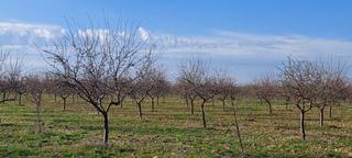 Masia a Malagón. Finca rúst. en venta en ciudad real.
