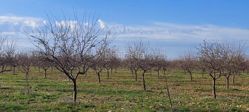 Foto 6f4bad73-9452-4790-afd8-7132135e3882. Masia a Malagón