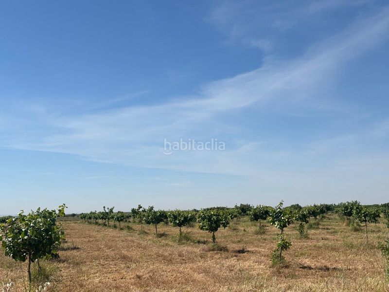 Foto d3893be4-525f-4646-b3cc-a064845156e3. Masia a Malagón