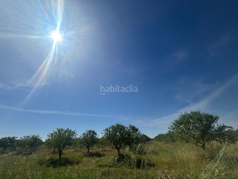 Foto d6bd34a7-028e-44cf-8ee6-ac082f0c27d1. Masia a Malagón