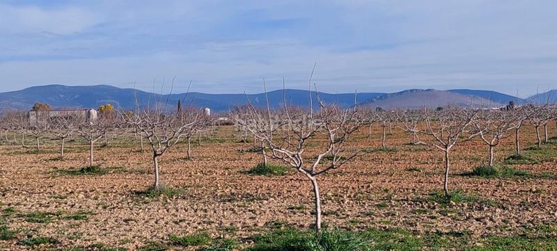 Foto e6a7f120-71ca-4669-b4b2-d63ec67567b5. Masia a Malagón