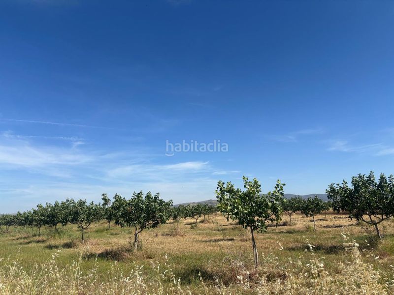Foto f9d77bbc-1c5d-4534-8e72-14787286aaee. Masia a Malagón