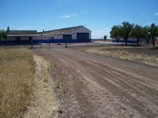 Masia a Carrión de Calatrava. Finca rúst. en venta en ciudad real.