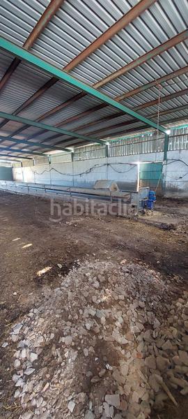 Foto 0526b81d-9611-4ce0-b7f8-6922fa5fcf82. Lloguer masia a Malagón