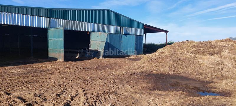 Foto dab22f5f-ce63-41fc-b17e-71638e813357. Lloguer masia a Malagón