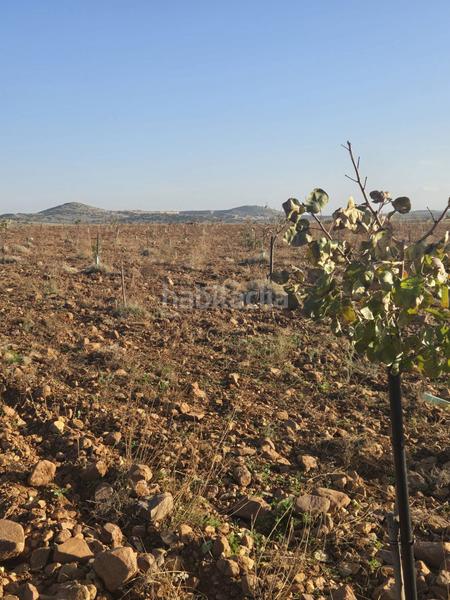 Foto 1af92430-b62c-425e-b9df-cab8150a143f. Masia a Torralba de Calatrava