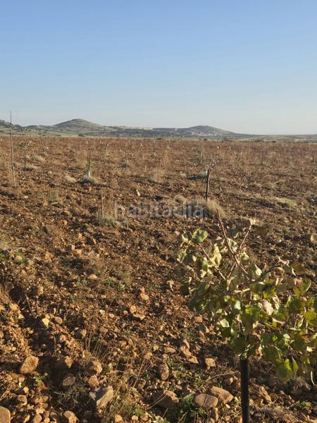 Foto 4147a2ce-cd5d-4156-a13d-f299108b9e91. Masia a Torralba de Calatrava