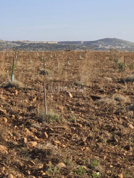 Foto e26f49a0-307b-4f0c-abe3-bc13ade30508. Masia a Torralba de Calatrava