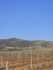 Masia a Torralba de Calatrava. Finca rúst. en venta en malagon.