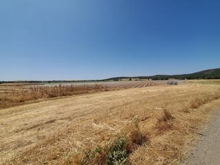 Masia a Nuevo Hospital. Finca en venta en ciudad real.