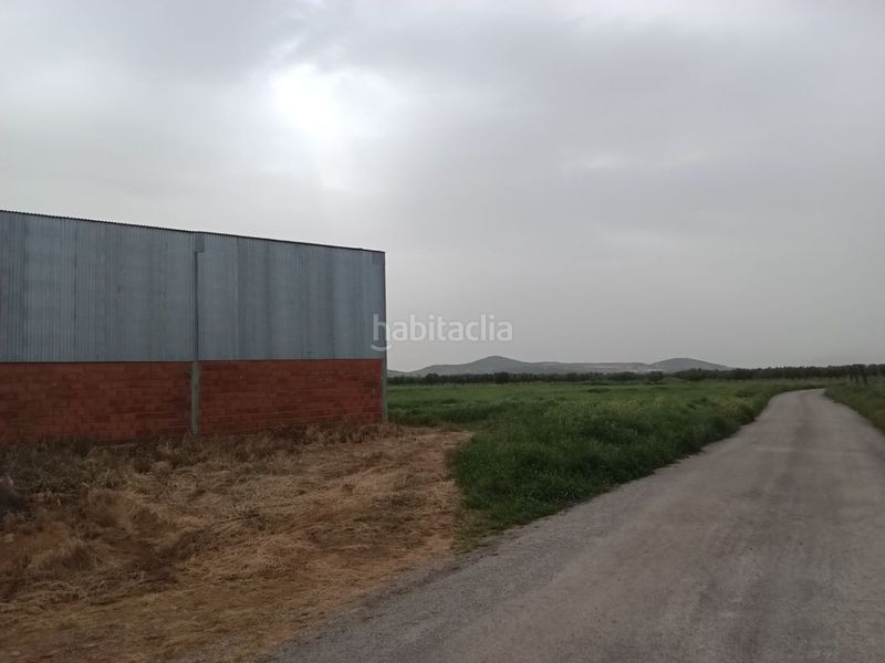 Foto de40c624-aa52-4c65-979a-dd17d735078b. Nau industrial a Malagón