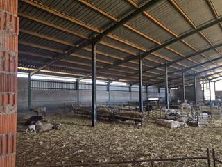 Masía en Brazatortas. Finca rúst. en venta en ciudad real, 2 dormitorios.
