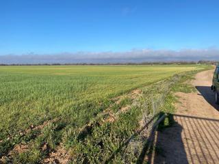 Mas à Casco Histórico. Finca en venta en toledo.