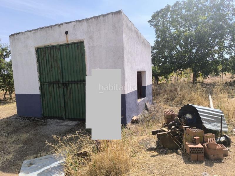 Foto 8d8ad7e1-e3ea-4c24-98d9-497ea0040404. Masia a Torralba de Calatrava