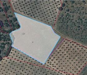 Terreny residencial a Malagón. Parc. rúst. en venta en malagon.