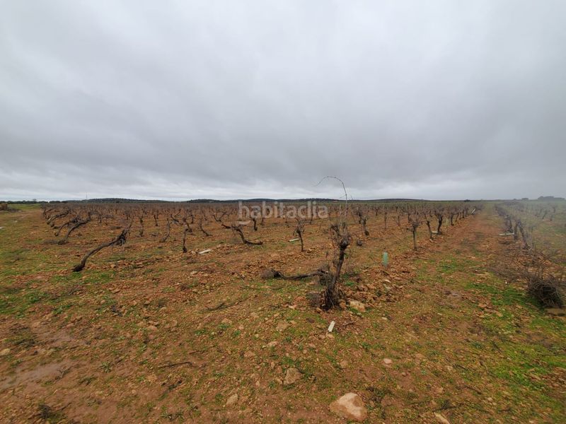 Foto 8f0f9799-fa6f-4e97-ad6f-05d9bd025a6d. Masia a Torralba de Calatrava